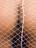 LADYBOYGOLD.COM