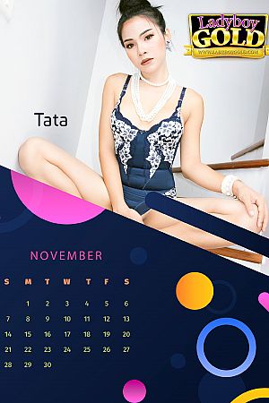2021 Calendar - November